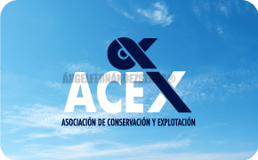 Creatividad 4 diseño de logos -creatividad 4